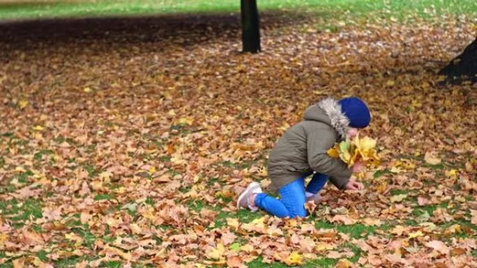 富有创造力的年轻高加索女孩为城市公园的小学艺术项目准备秋天的枯黄金叶花束