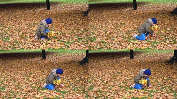 富有创造力的年轻高加索女孩为城市公园的小学艺术项目准备秋天的枯黄金叶花束
