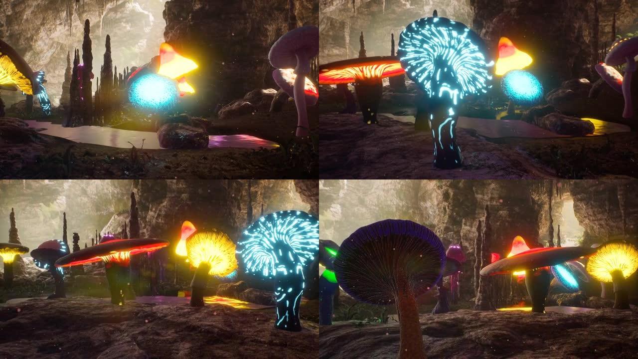 一个神秘的迷雾洞穴，里面有神奇的发光蘑菇。神奇神秘蘑菇的概念。该动画非常适合童话，幻想，冒险和魔术背