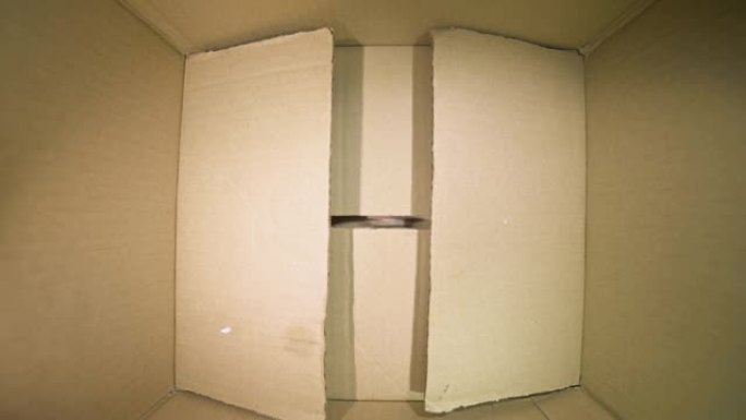 一个七岁的小女孩在盒子的缝隙中凝视着。从盒子里看。礼物期待和期待