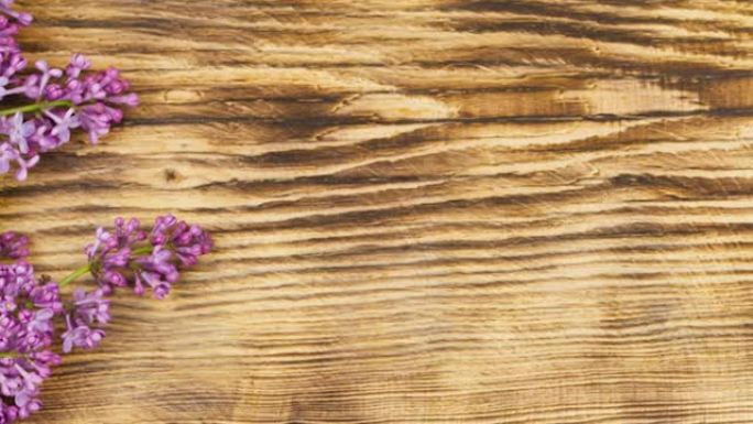 新鲜芬芳的紫丁香树枝躺在烧焦的木制背景上