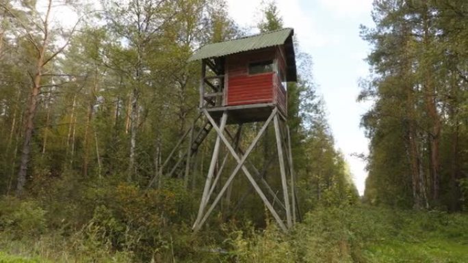 爱沙尼亚森林中央的木制狩猎小屋