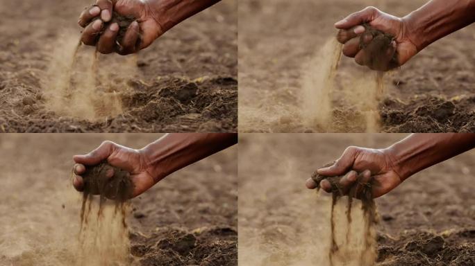 农民检查土壤是否适合有机耕作