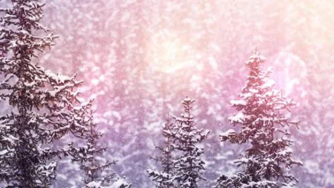 树木在冬季景观上落下的光和雪点
