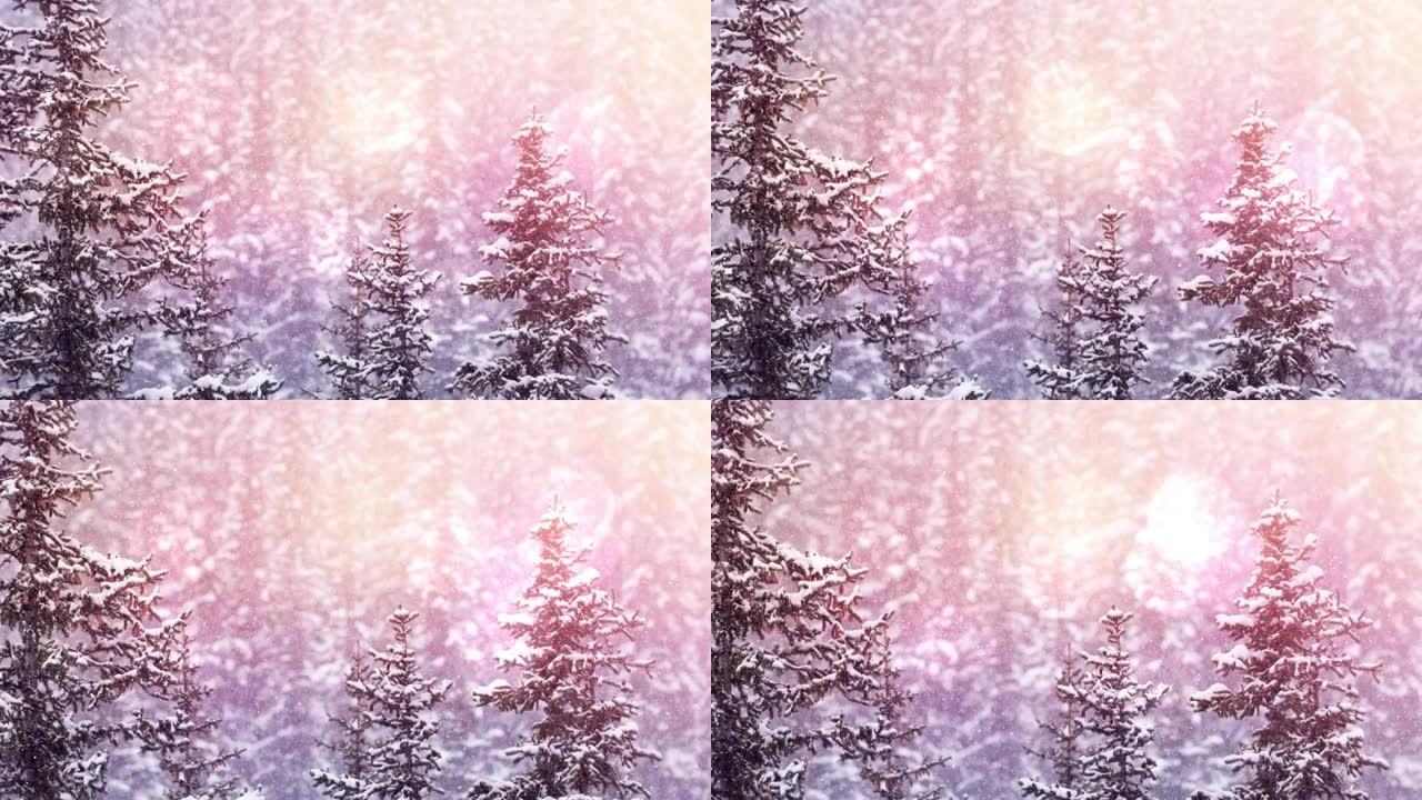 树木在冬季景观上落下的光和雪点