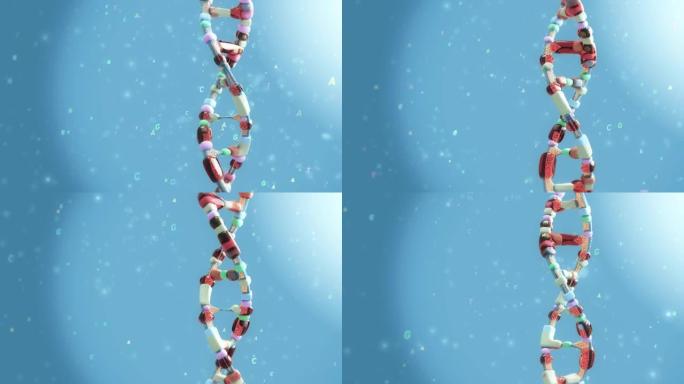 DNA编码。细胞旋转三维动画