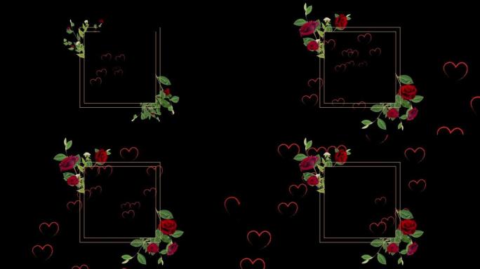 黑色背景上的玫瑰、心形和长方形动画