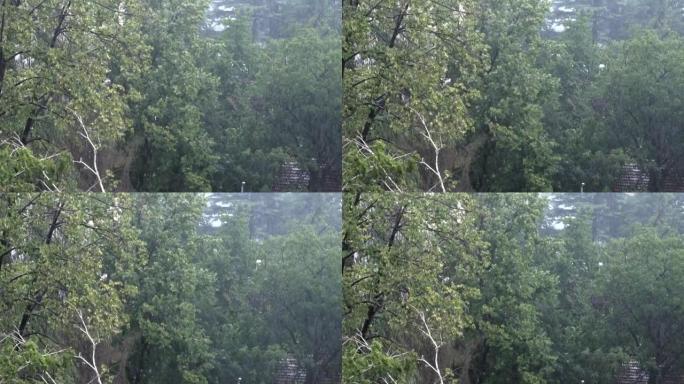 大雨。手持视频。背景中的城市树木