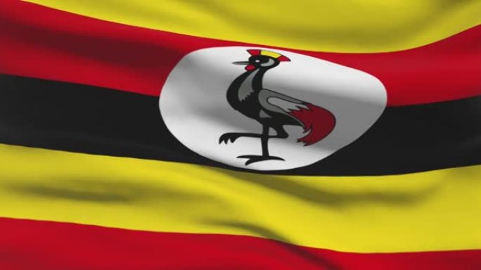 乌干达国旗镜头。乌干达在风中挥舞着国旗