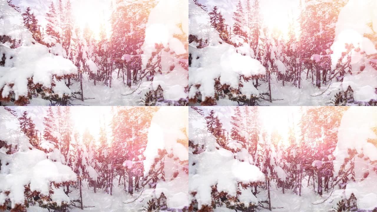 冬季风景下的雪花和发光斑点的动画
