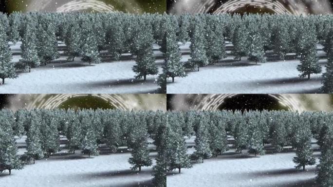 雪落在冬季景观上的多棵树上，而小径则在旋转
