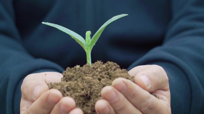 双手托起希望呵护生命保护地球关爱儿童成长