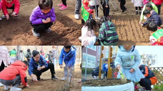 幼儿园小朋友种花种菜植树