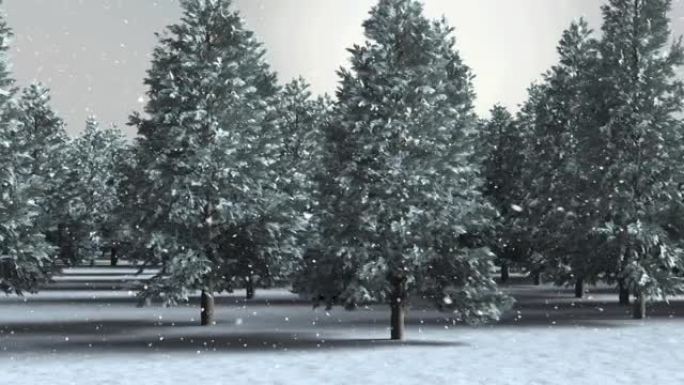 积雪落在冬季景观上，有多棵树木对着天空