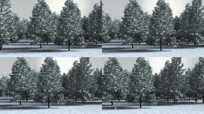 积雪落在冬季景观上，有多棵树木对着天空