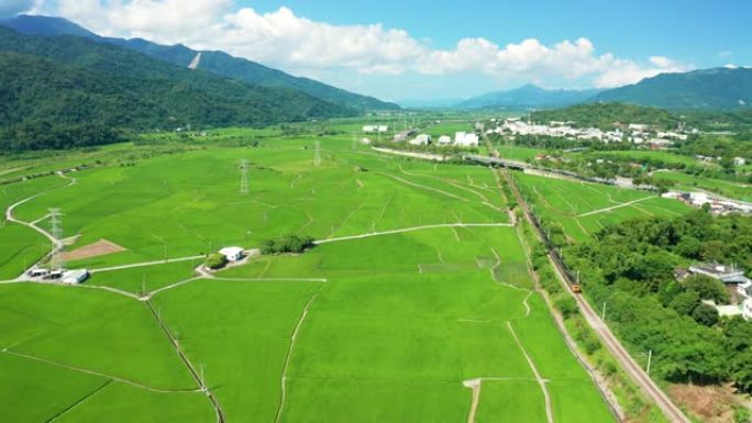 鸟瞰花莲美丽的稻田和富力镇，台湾