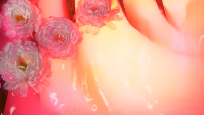 霓虹粉色玫瑰背景上的花朵，慢动作水面波纹，飞溅