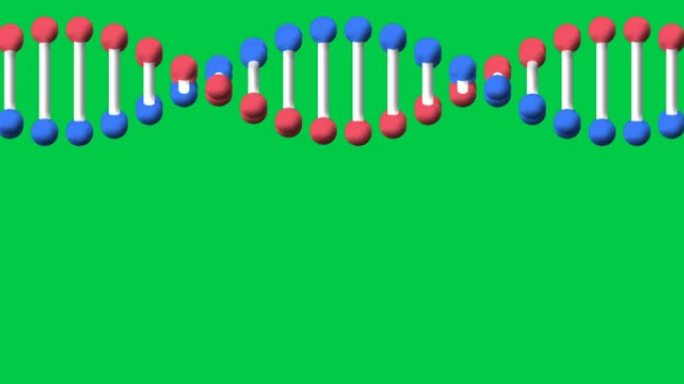 绿屏上复制空间的dna链旋转动画