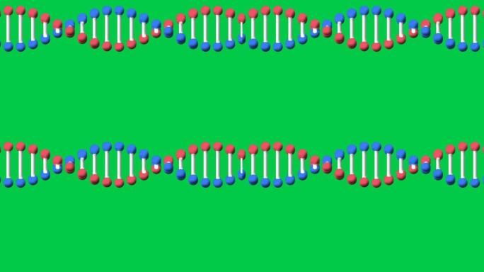 绿屏上复制空间的dna链旋转动画