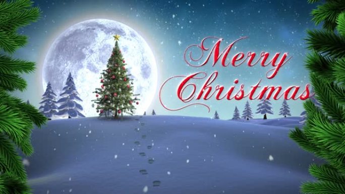 树枝和圣诞快乐的文本在圣诞树上的冬季景观与夜空