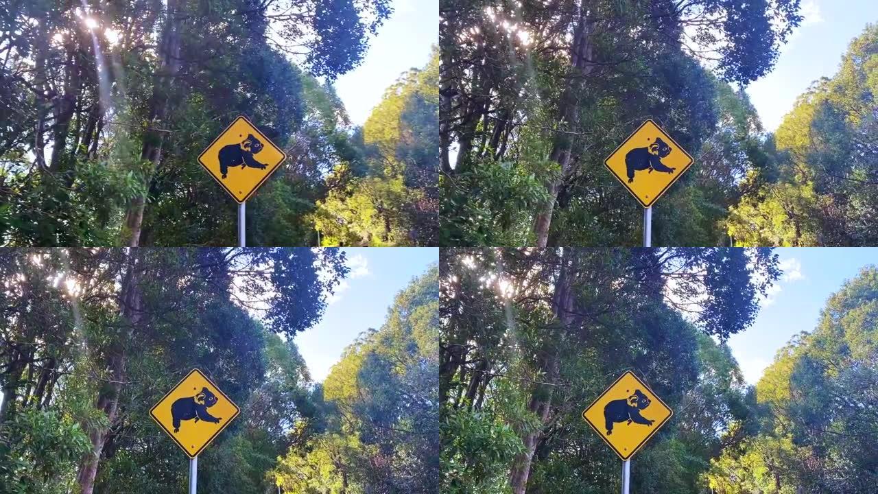 考拉十字路口街道标志澳大利亚