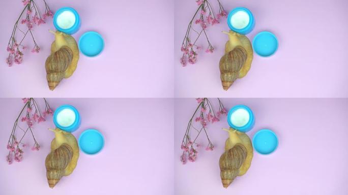 Achatina蜗牛在蓝色化妆品罐和一朵花附近爬行