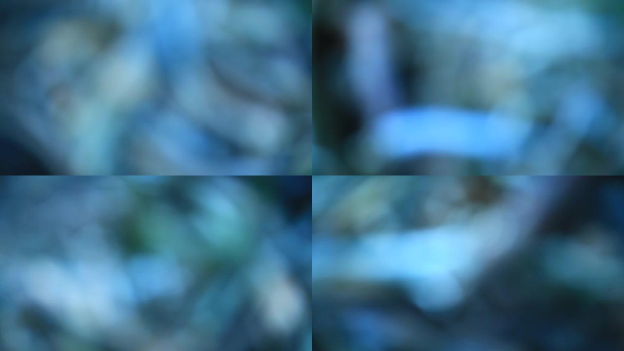 恐怖森林抽象模糊蓝色视频