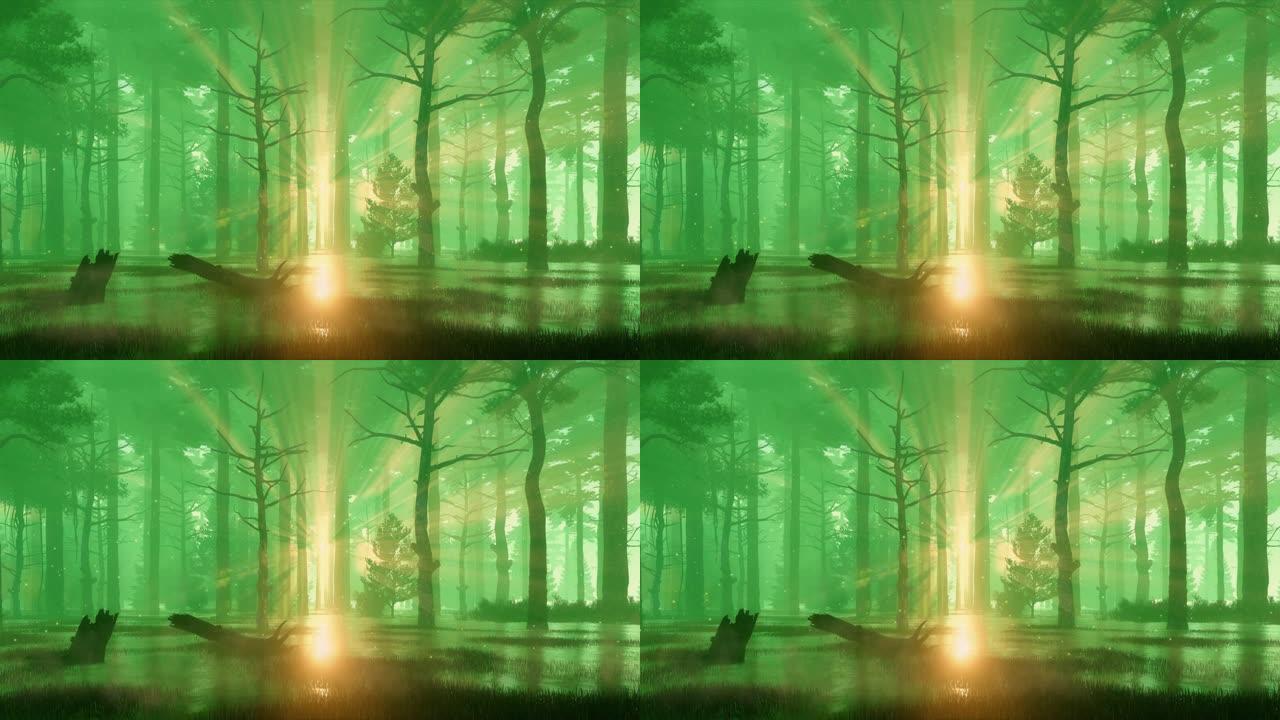 日落时森林沼泽上方的神秘灯光3D动画