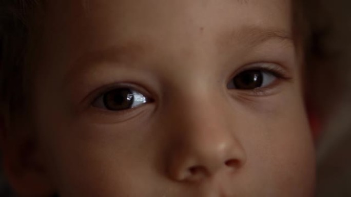 漂亮的孩子看着相机。可爱的小男孩脸的肖像。特写男孩的棕色眼睛。孩子们的情绪。孩子专注的样子。高加索男