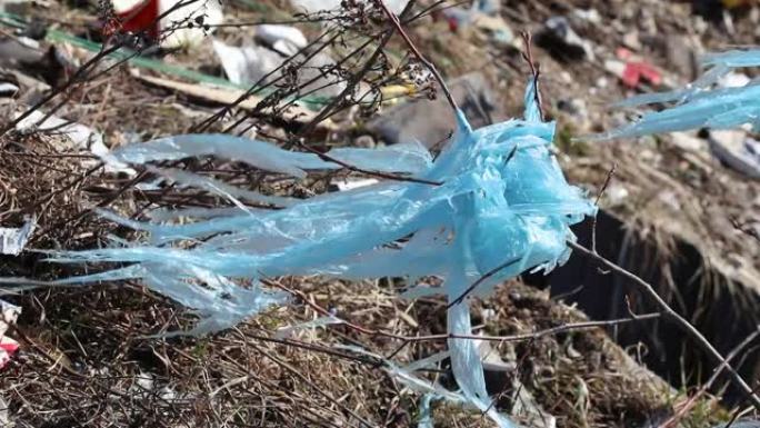 自然界中的塑料污染
