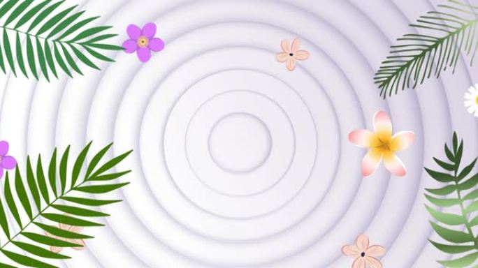 白色背景上绿色热带植物和花朵的动画