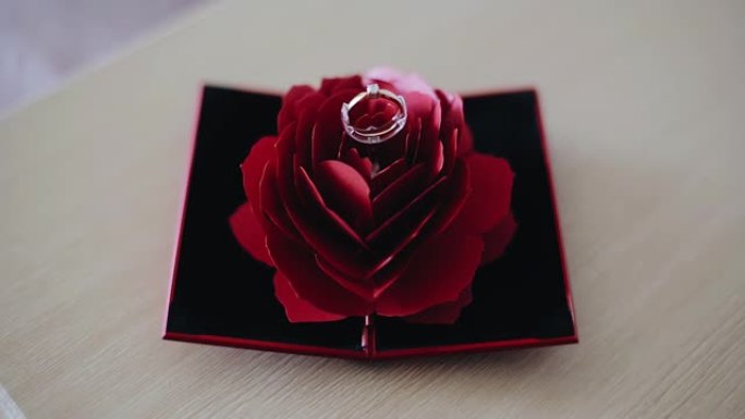 玫瑰花蕾上的金戒指的凉爽成分。动态拍摄特写