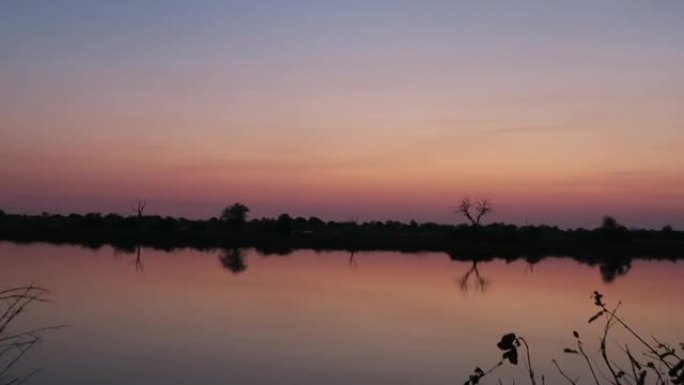 日落之后，非洲河的安静beaty天空中带有紫色的色调反射如果河的两岸都可以看到枯死的树，相机沿着河从
