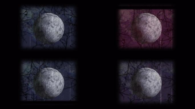 黑色背景上vhs毛刺效应对抗月亮和令人毛骨悚然的树枝的数字动画