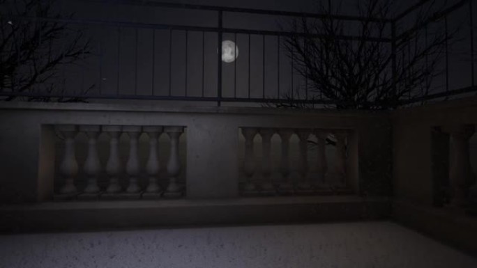 背景为月亮的夜景，深夜降雪