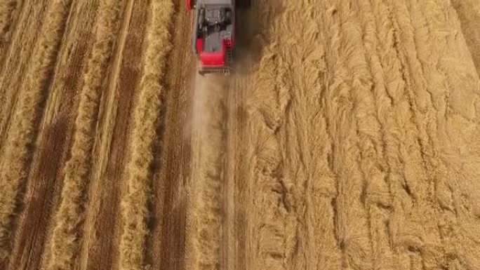联合收割机收割冬小麦作物的农民的航拍