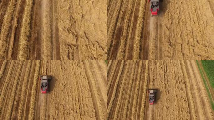 联合收割机收割冬小麦作物的农民的航拍