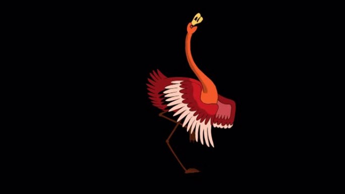 红色火烈鸟跳舞阿尔法哑光