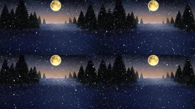 冬季景观中的雪落在月亮和枞树上的动画