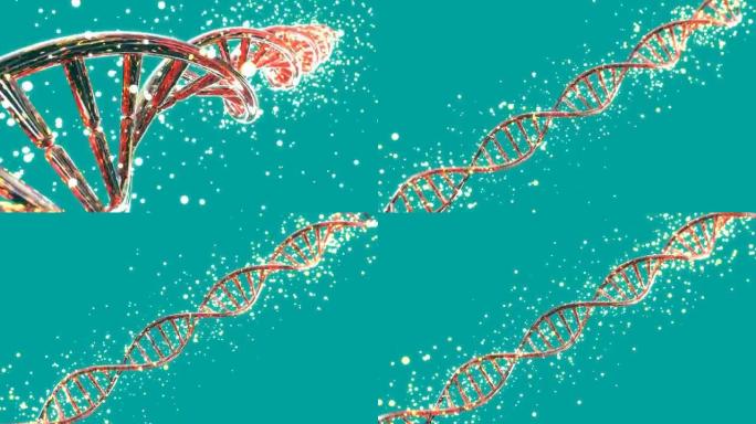 DNA链的抽象医学动画