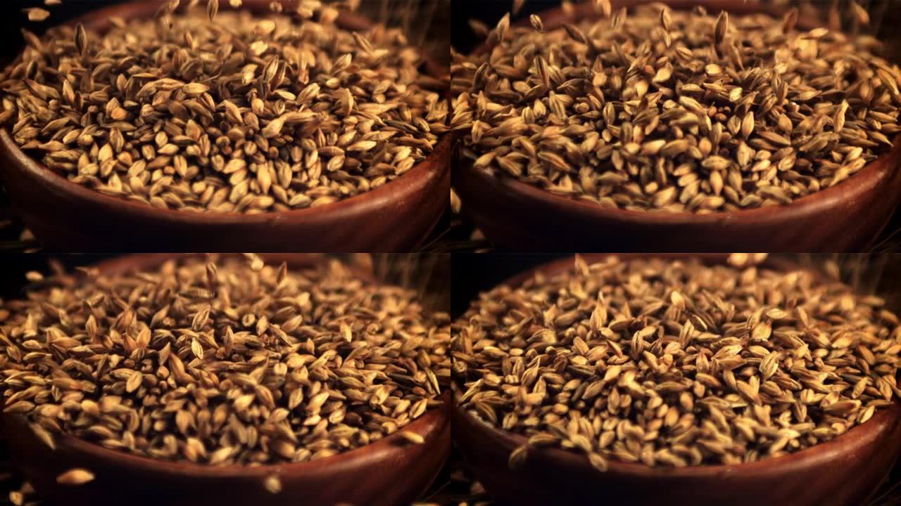 大麦谷物的超慢动作落在黑色背景下的盘子中。