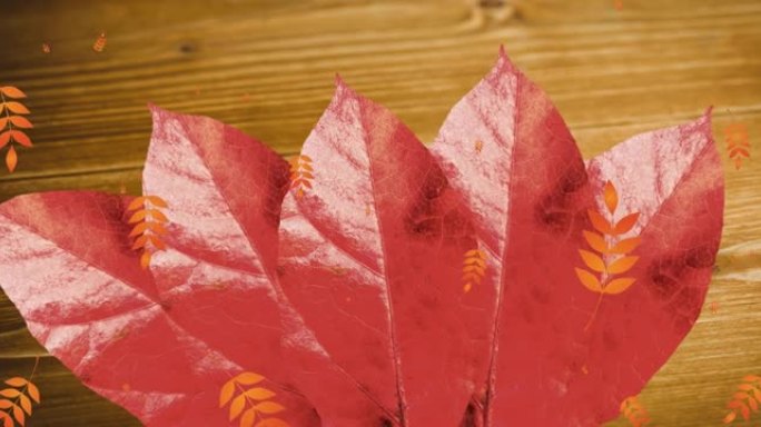 多叶图案图标落在木制背景下的秋天枫叶上