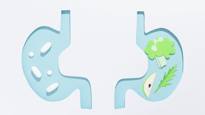 人的胃服用维生素/抗生素/益生菌的插图和吃足够蔬菜的人的胃的插图。停止运动动画。