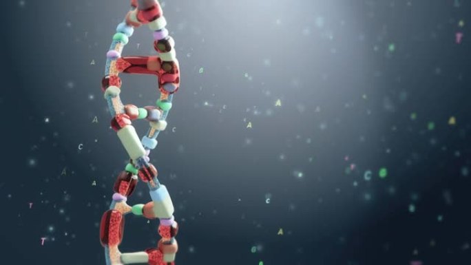 DNA编码。双螺旋遗传因子基因
