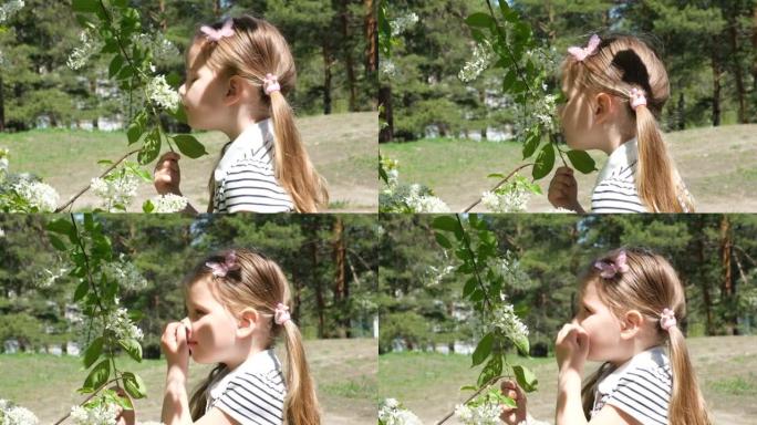 儿童花粉过敏。小女孩嗅着鸟樱桃花，(朴树) 打喷嚏和吹鼻子，因为季节性过敏。春季过敏概念。