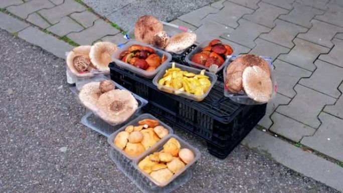 街头市场上出售的食用野生阳伞蘑菇