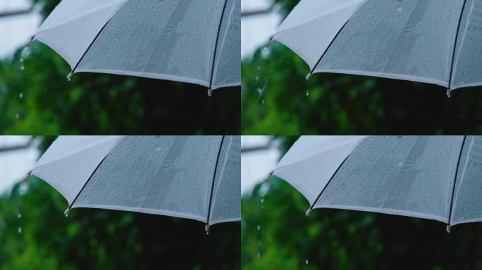 雨季雨滴落在雨伞上