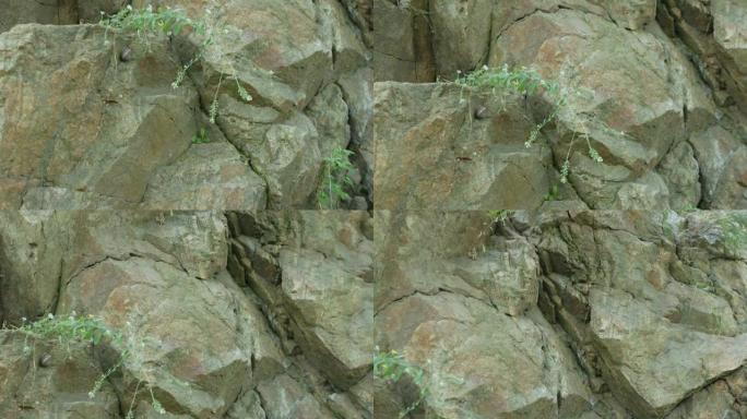 坚实的岩石特写。石岩的结构和质地。天然石材