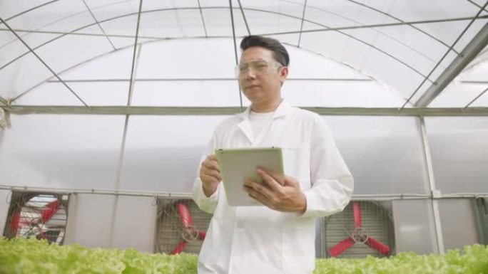 农业学者穿着无菌衣服，拿着平板电脑，正在检查有机农场温室中的产品蔬菜和水系统的质量。封闭系统上的水培