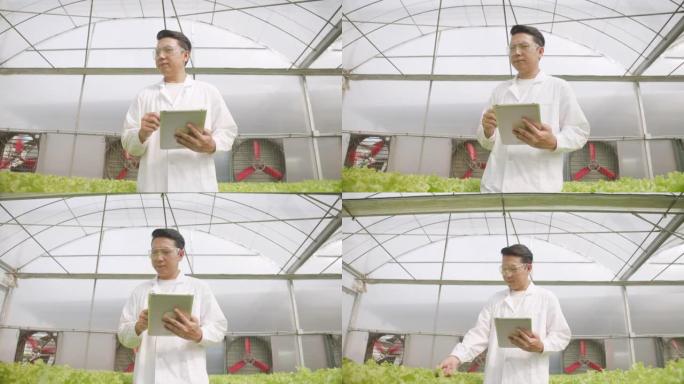 农业学者穿着无菌衣服，拿着平板电脑，正在检查有机农场温室中的产品蔬菜和水系统的质量。封闭系统上的水培